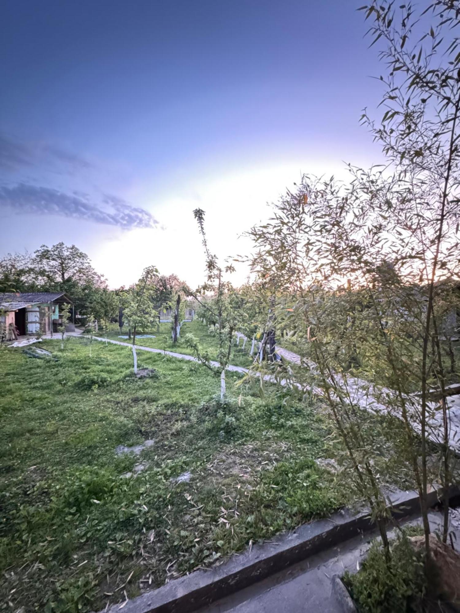 Odo'S Guest House Мартвили Экстерьер фото